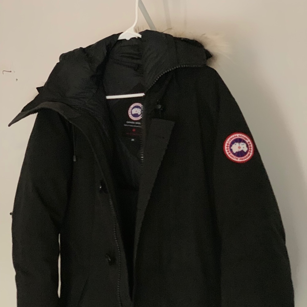 Canadian goose